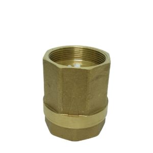 2 inch Brass Spring Loaded Check Valve is design to prevent back pressure of water when water motor pump pressurize in pipe.