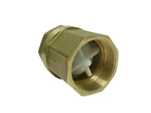 Brass Spring Loaded Check Valve 2" - Image 2
